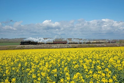 Steam Railway, Gloucestershire Warwickshire Steam Railway, GWSR, Rape Field near Broadway, The