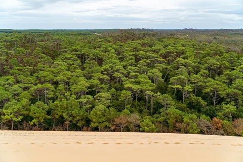 Overlooking the Grande Dune du Pilat, this image captures the contrast between the vast sandy dune