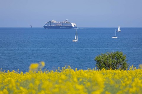 Color Line ferry, sailboats, rapeseed field, tree, Baltic Sea, Altbülk, beaches,