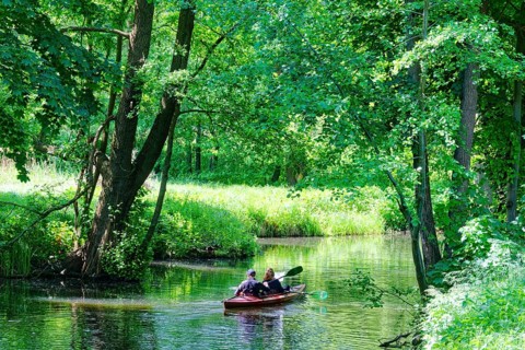 Tourists in a canoe on one of the branches of the Spree in the Spreewald, UNESCO Spreewald