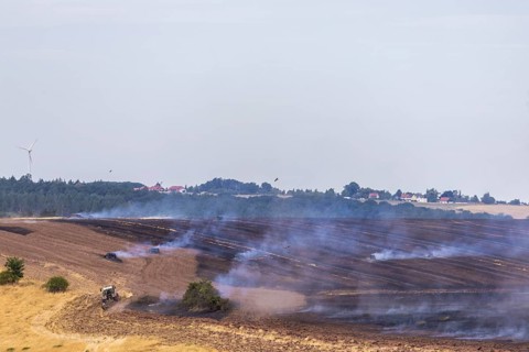 A grain field near Obernauendorf caught fire due to persistent dryness and gusty winds, the local