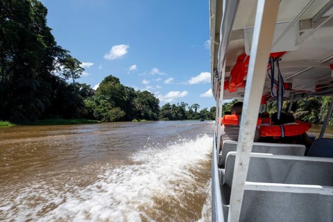 Tourists on a boat, Rio Suerte river in the rainforest, dense vegetation, Tortuguero National Park,