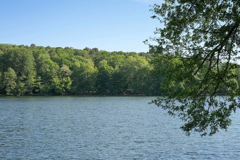 Schlachtensee, Zehlendorf, Steglitz-Zehlendorf, Berlin, Germany
