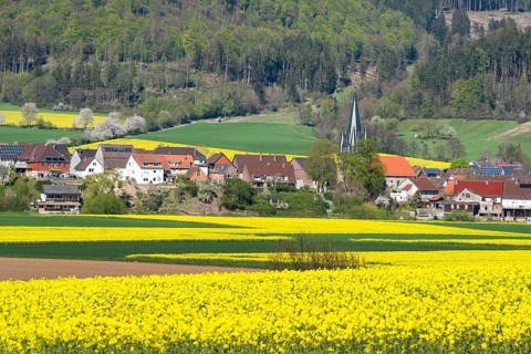 View of Bodenfelde, district of Northeim, Lower Saxony, Germany, Europe