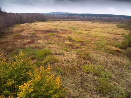 View of Rotes moor, in autumn colour, in the Rhön UNESCO Biosphere nature reserve, county Bavaria,