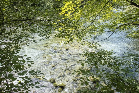 Mangfall near Bruckmühl, district of Miesbach, Upper Bavaria, Bavaria, Germany