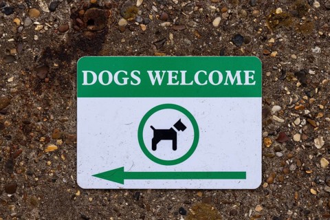 Dog welcome sign, Walton-on-the-Naze, England, Great Britain