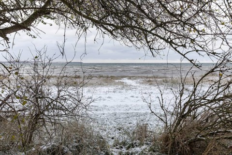 Winter on the Baltic Sea, snow in Wohlenberger Wieck, Bay of Wismar, Mecklenburg-Western Pomerania,