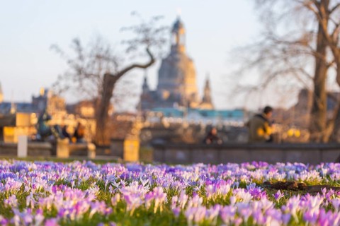 Sunbathers on the crocus meadows at the Hotel Belevue on the banks of the Elbe in Neustadt. View of