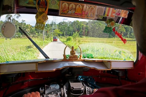 View from a tuktuk onto a tuktuk and the rice paddies, Kandy, Central Province, Sri Lanka