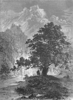 Harrassprung or Harrasfelsen and the Harras Oak in 1870, Saxony, Germany, Historical, digitally