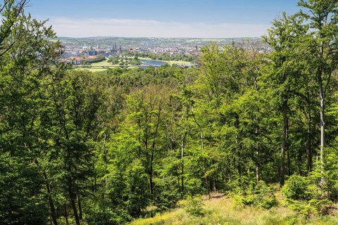 View of Dresden from Wolfshügel in the Dresden Heath, Saxony, Germany, May 2024