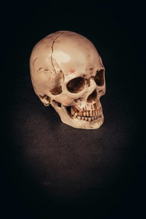 A simple skull against a dark background