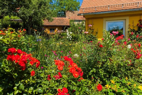 A landscaped natural garden with a house in a nature reserve on the edge of a village, Bannewitz,