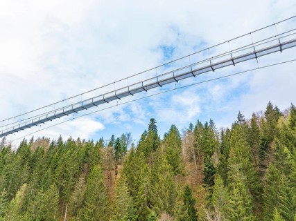 Bottom view of a suspension bridge crossing a forest, Wildline Suspension Bridge, Bad Wildbad,