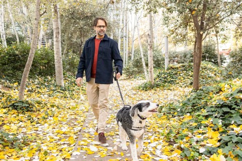 A middle-aged man walks his dog down a picturesque path lined with fallen yellow leaves in an urban