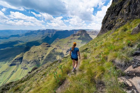 Female mountaineer hiking trail to Cathedral Peak or Cathedralpiek or Mponjwana, Drakensberg,