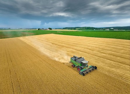 Combine harvester harvesting wheat on a field in the vertile and fruitful of Langes Feld north of