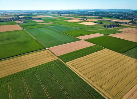Aerial view of geometric grain and corn fields forming a colorful agricultural landscape with