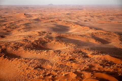 Aerial view, sand dunes with vegetation in the Namib Desert, Namib Naukluft Park, Namibia