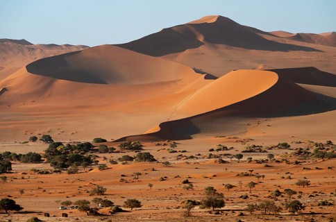Barren vegetation between red-yellow Namib sand dunes, Namib Desert, Namib-Naukluft National Park,
