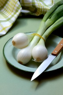Spring onion with knife on plate, Allium cepa