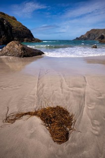 Algae washed up on sand, coastal landscape, coast, rock formations, rocks, sandy beach, beach, sea,