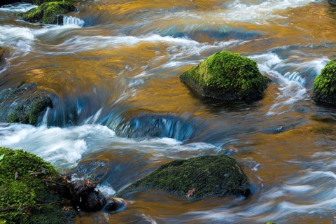 Germany, Saxony, Triebtal, rivers, landscape, atmosphere, Vogtland
