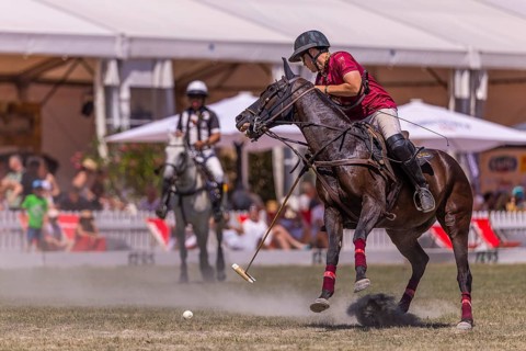 Polo player, polo horse, polo pony (Equus), rider, polo tournament, 1295 Polo Masters, Sylvenstal,