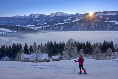 Sportive woman watching sunrise over the Nagelfluh mountain chain with Hochgrat summit in the