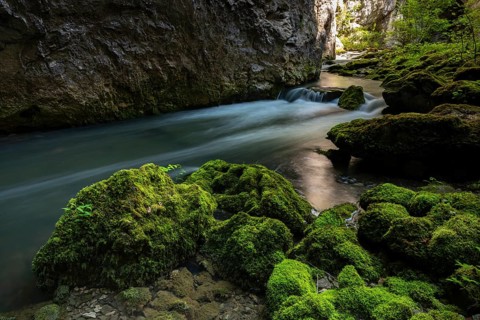 Rak River, Rakov Skocjan, Notranjska Region, Slovenia