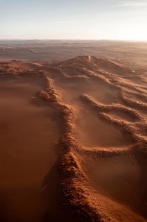 Aerial view, sand dunes with vegetation in the Namib Desert, Namib Naukluft Park, Namibia