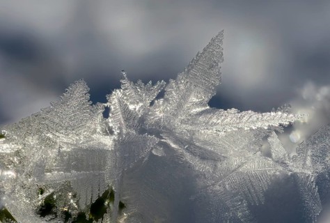 Detail, ice, ice crystal, frost, snow, winter