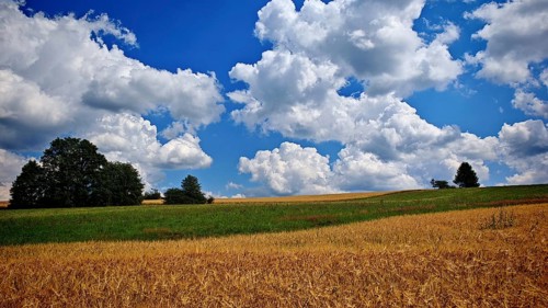 Extensive fields and green hills under a blue sky with clouds, Frankenwald nature park Park, Upper