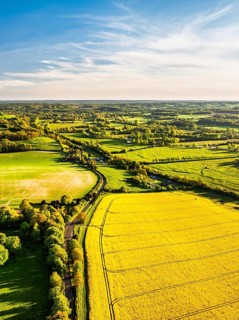 Rapeseed Fields and Farms over Horsebridge nad Stockbridge from a drone, Hampshire, England, United