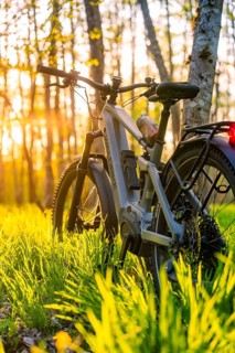 An e-bike stands in the forest in the warm light of a sunset surrounded by green grasses, e-bike,