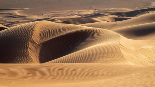 Sand dunes in the Rhub al Khali desert, empty quarter, largest sandy desert in the world, Oman