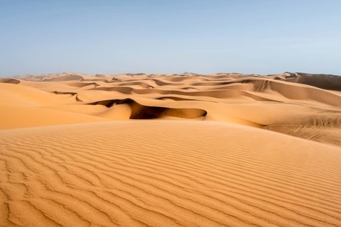 Sand dunes with wave patterns, dune sea, sandy desert, impressive desert landscape, Namib Naukluft