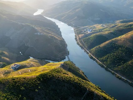 Aerial drone landscape of the Douro River winding through terraced vineyards and steep hills in