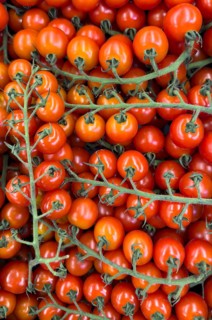Cultivated tomatoes (Solanum lycopersicum) – vine tomatoes on display in a grocery shop, food
