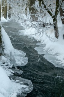 Greiz, Thuringia, Triebitzbach, Bach, Brook, ice, rivers, high size, vertical format, ice,