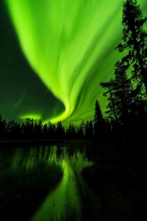 Northern Lights (Aurora borealis) reflected in a forest lake, Muddus National Park, Laponia World