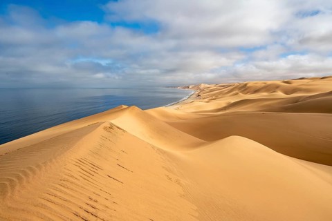 Sand dunes and sea, Atlantic coast and sandy desert with sea of dunes, Sandwich Harbour, Namib