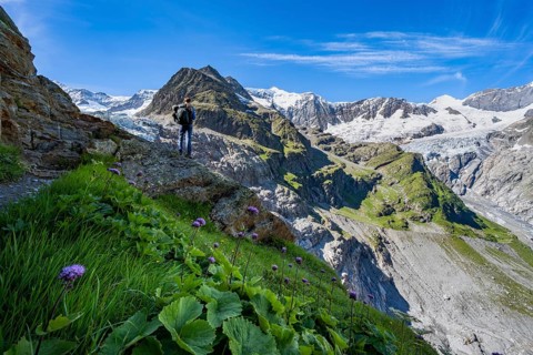 Mountaineers in front of picturesque high-alpine mountain landscape with Grindelwald-Fiescherfirn