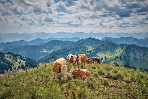 Alpine landscape with beautiful cloudscape on the Hachgrat summit in the Allgäu Alps, Oberstaufen