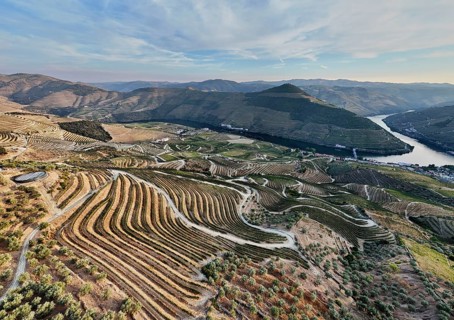 Drone capture of vineyard terraces intersected by winding dirt roads above the Douro River,