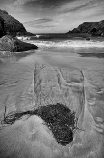 Algae washed up on sand, coastal landscape, coast, rock formations, rocks, sandy beach, beach, sea,
