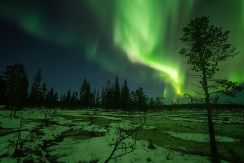 Northern Lights (Aurora borealis), Muddus National Park, Laponia World Heritage Site, Norrbotten,