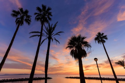 Lanzarote, Canary Islands, Spain, Europe, Playa Blanca, silhouettes of palm trees under a colorful