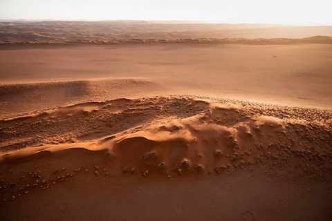 Sandy desert with Fairy Circles, circular areas, aerial view, Namib Desert, Namib Naukluft Park,
